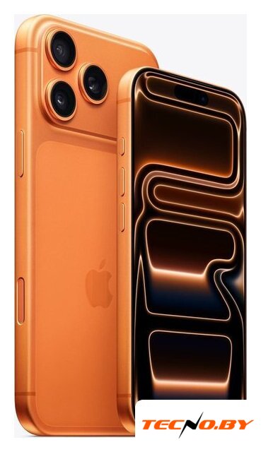 Телефон Apple iPhone 17 Pro Max 512GB (космический оранжевый) - Изображение №3 — Интернет-Магазин TECNO.BY