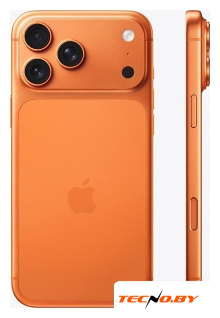 Телефон Apple iPhone 17 Pro Max 512GB (космический оранжевый) - Изображение №2 — Интернет-Магазин TECNO.BY