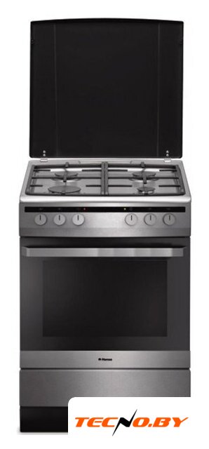 Кухонная плита Hansa FCMX68020 - Изображение №1 — Интернет-Магазин TECNO.BY