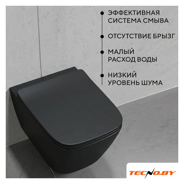 Унитаз подвесной Lauter Magdeburg 21103EC + GROHE Rapid SL 39504000 (черный матовый) - Изображение №6 — Интернет-Магазин TECNO.BY