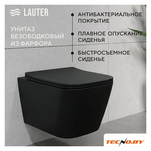 Унитаз подвесной Lauter Magdeburg 21103EC + GROHE Rapid SL 39504000 (черный матовый) - Изображение №2 — Интернет-Магазин TECNO.BY