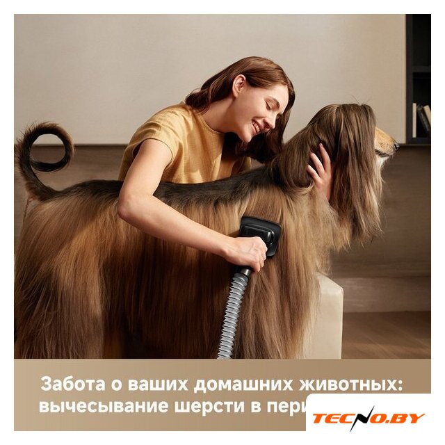 Пылесос Dreame Station Cordless Vacuum Cleaner Z40 VZV33A - Изображение №17 — Интернет-Магазин TECNO.BY