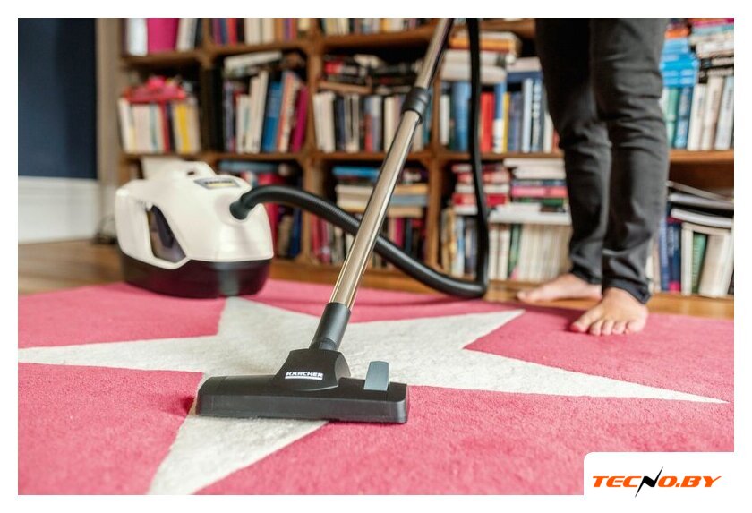 Пылесос Karcher DS 6 Plus 1.195-252.0 - Изображение №3 — Интернет-Магазин TECNO.BY