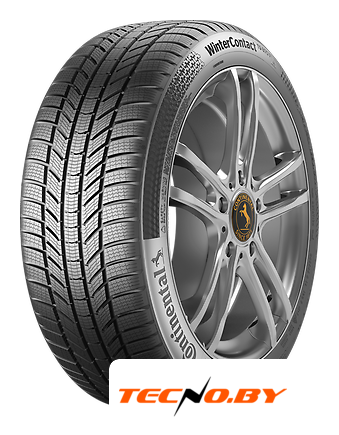 Зимние шины Continental WinterContact TS 870 P 255/45R20 105V XL - Изображение №1 — Интернет-Магазин TECNO.BY