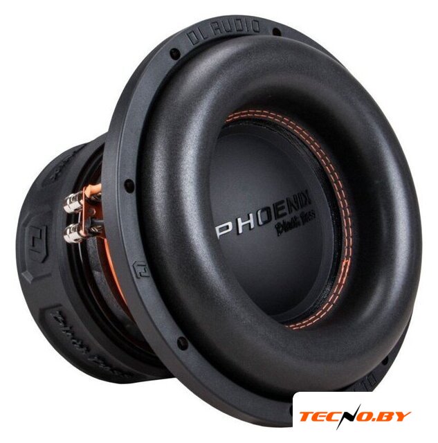 Головка сабвуфера DL Audio Phoenix Black Bass 10 - Изображение №1 — Интернет-Магазин TECNO.BY