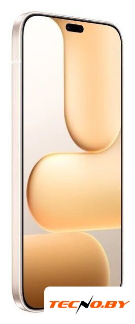 Телефон HONOR 600 Lite 8GB/256GB международная версия (пустынное золото) - Изображение №3 — Интернет-Магазин TECNO.BY