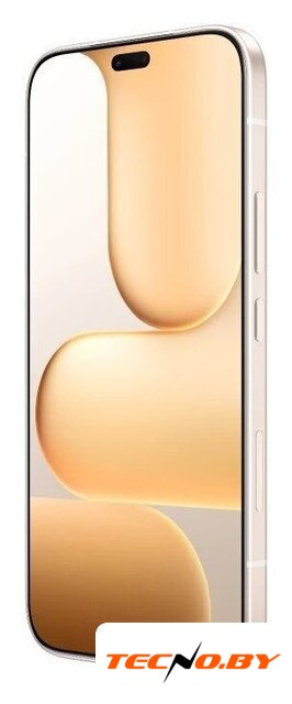 Телефон HONOR 600 Lite 8GB/256GB международная версия (пустынное золото) - Изображение №4 — Интернет-Магазин TECNO.BY