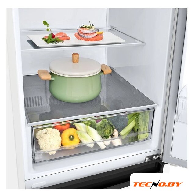 Холодильник LG DoorCooling+ GA-B509LQYL - Изображение №12 — Интернет-Магазин TECNO.BY