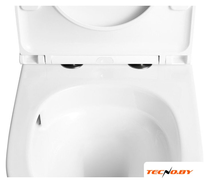 Унитаз подвесной Roxen Antares Tornado Long 530205-01GM-L - Изображение №2 — Интернет-Магазин TECNO.BY