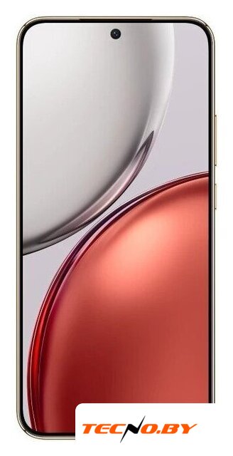 Телефон HONOR X9d 12GB/256GB международная версия (терракотовый) - Изображение №2 — Интернет-Магазин TECNO.BY