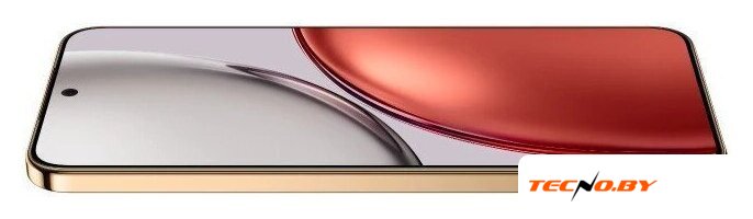 Телефон HONOR X9d 12GB/256GB международная версия (терракотовый) - Изображение №3 — Интернет-Магазин TECNO.BY