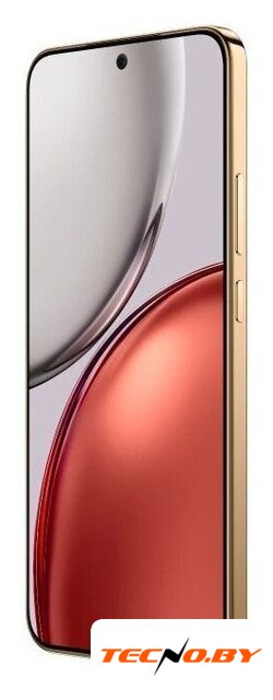 Телефон HONOR X9d 12GB/256GB международная версия (терракотовый) - Изображение №4 — Интернет-Магазин TECNO.BY