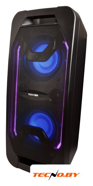 Патибокс Toshiba TY-ASC66 - Изображение №1 — Интернет-Магазин TECNO.BY