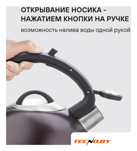 Чайник со свистком Rondell Tierno RDS‑1900 - Изображение №3 — Интернет-Магазин TECNO.BY