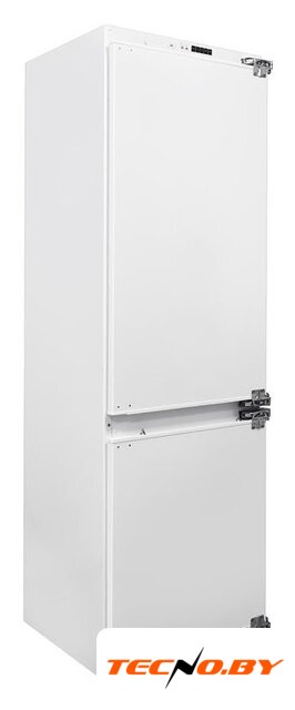 Холодильник Exiteq EXR-202 - Изображение №1 — Интернет-Магазин TECNO.BY