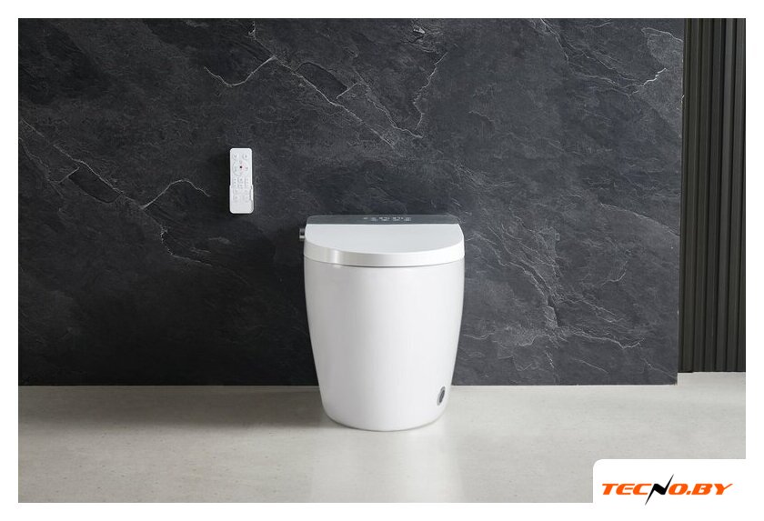Унитаз приставной Roxen Smart Simple 670310-02 - Изображение №3 — Интернет-Магазин TECNO.BY