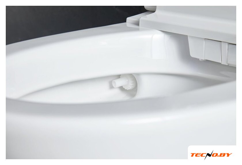 Унитаз приставной Roxen Smart Simple 670310-02 - Изображение №7 — Интернет-Магазин TECNO.BY