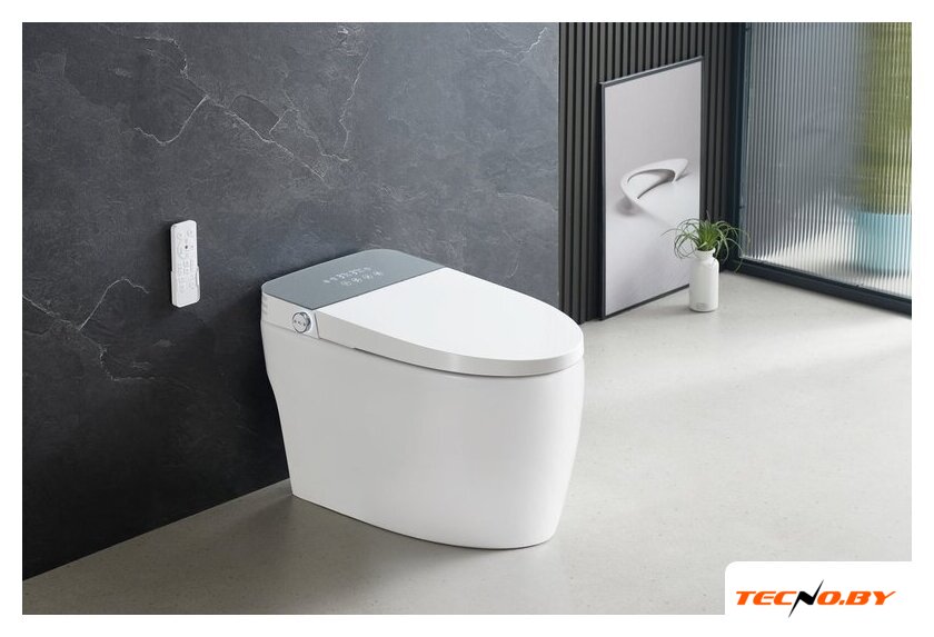Унитаз приставной Roxen Smart Turbo 670300-02 - Изображение №1 — Интернет-Магазин TECNO.BY