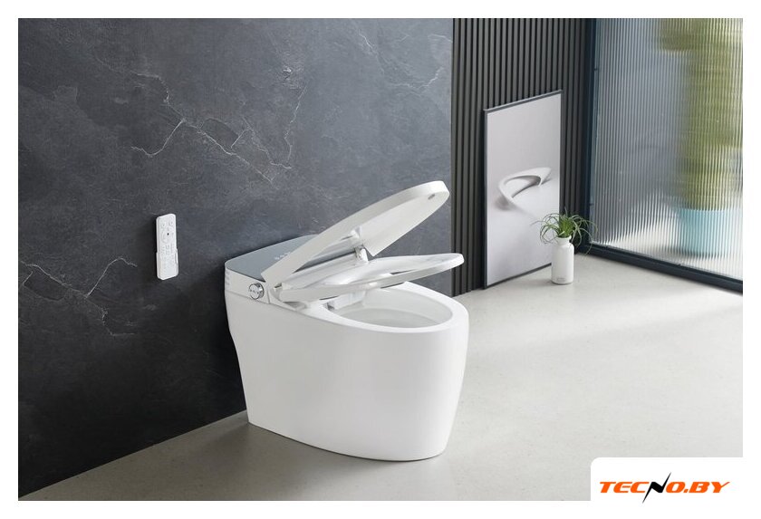 Унитаз приставной Roxen Smart Turbo 670300-02 - Изображение №2 — Интернет-Магазин TECNO.BY