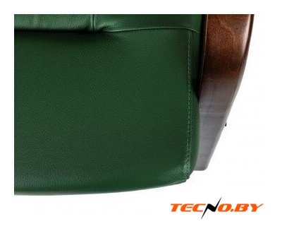 Офисное кресло Бюрократ T-9928WALNUT-CF/GN (зеленый) - Изображение №3 — Интернет-Магазин TECNO.BY