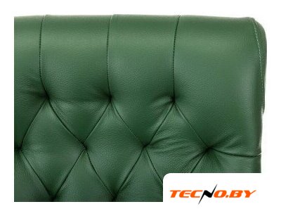 Офисное кресло Бюрократ T-9928WALNUT-CF/GN (зеленый) - Изображение №4 — Интернет-Магазин TECNO.BY