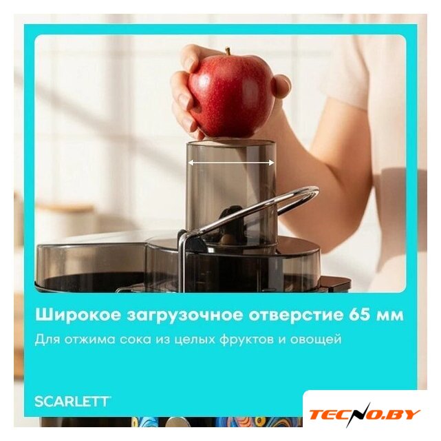 Соковыжималка Scarlett SC-JE50S66 - Изображение №7 — Интернет-Магазин TECNO.BY