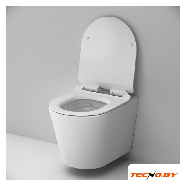 Унитаз подвесной AM.PM Sunny Flashclean C85C1701SC (с сиденьем) - Изображение №3 — Интернет-Магазин TECNO.BY