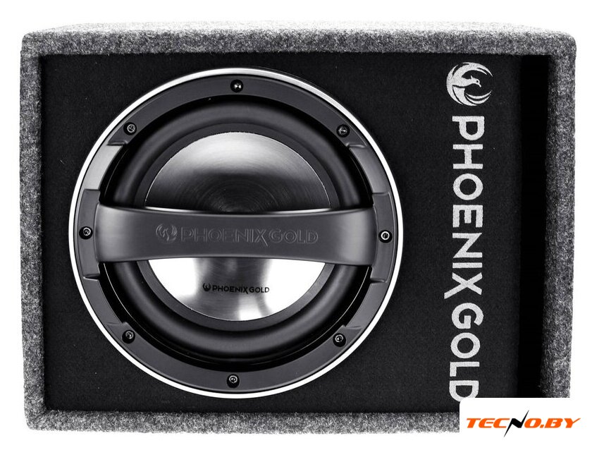 Корпусной активный сабвуфер Phoenix Gold Z110ABV2 - Изображение №1 — Интернет-Магазин TECNO.BY