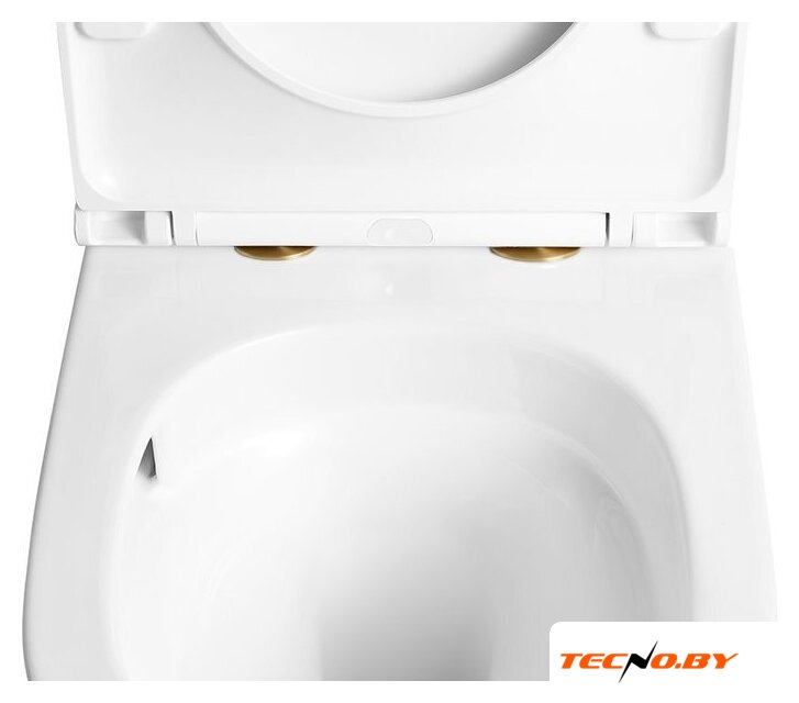 Унитаз подвесной Roxen Antares Tornado Long 530205-01GB-L - Изображение №2 — Интернет-Магазин TECNO.BY