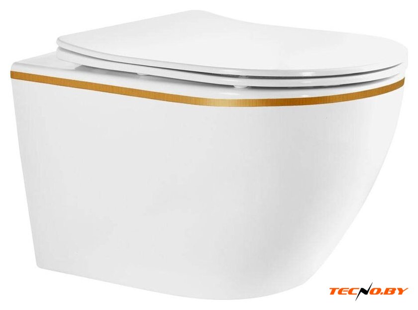 Унитаз подвесной Roxen Antares Tornado Long 530205-01GB-L - Изображение №1 — Интернет-Магазин TECNO.BY