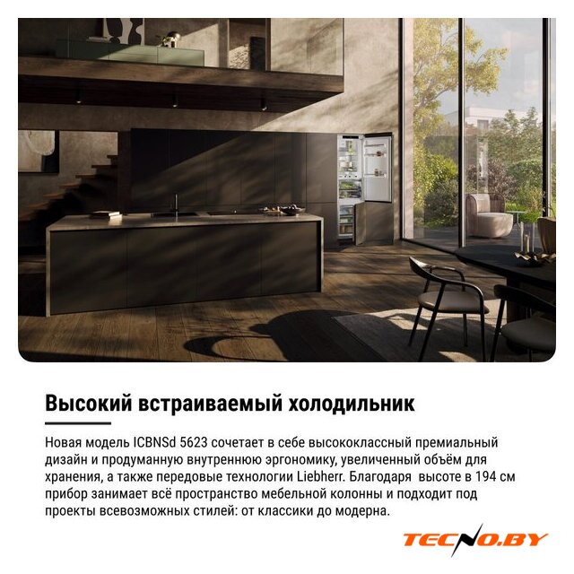 Холодильник Liebherr ICBNSd 5623 Plus BioFresh NoFrost - Изображение №22 — Интернет-Магазин TECNO.BY