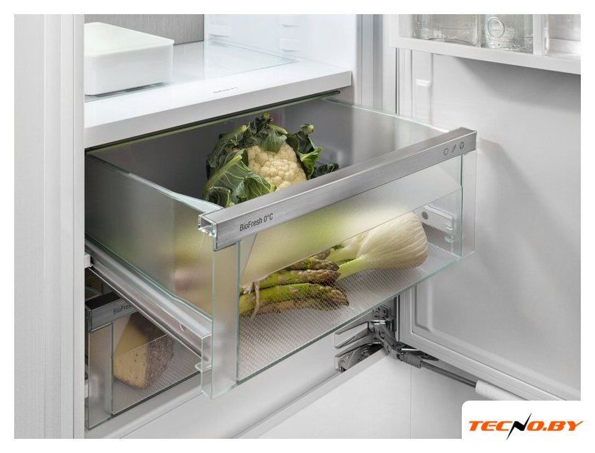 Холодильник Liebherr ICBNSd 5623 Plus BioFresh NoFrost - Изображение №15 — Интернет-Магазин TECNO.BY