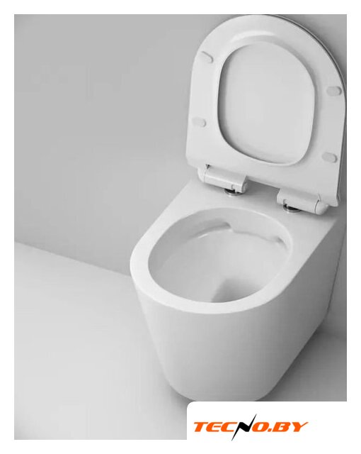 Унитаз подвесной AM.PM Sunny Flashclean C85C1701SC + TECE Kit 9400413 - Изображение №8 — Интернет-Магазин TECNO.BY