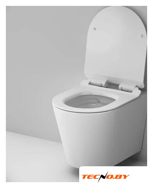 Унитаз подвесной AM.PM Sunny Flashclean C85C1701SC + TECE Kit 9400413 - Изображение №6 — Интернет-Магазин TECNO.BY