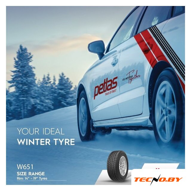 Зимние шины Petlas SnowMaster W651 235/40R18 95V - Изображение №5 — Интернет-Магазин TECNO.BY
