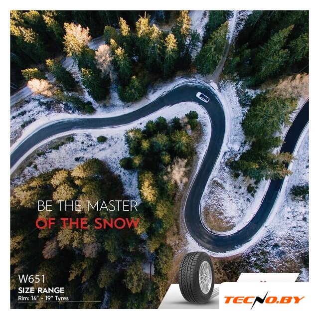 Зимние шины Petlas SnowMaster W651 235/40R18 95V - Изображение №6 — Интернет-Магазин TECNO.BY