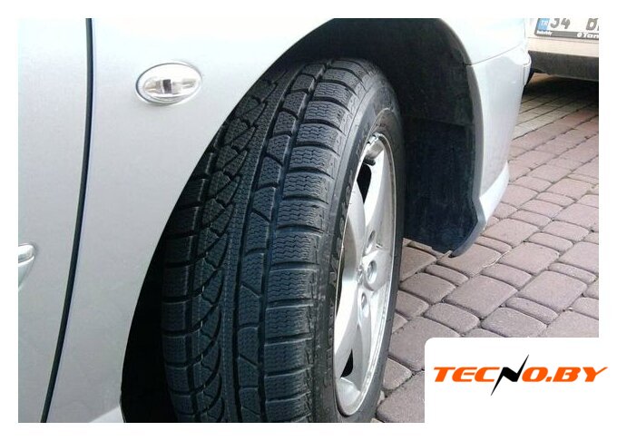Зимние шины Petlas SnowMaster W651 235/40R18 95V - Изображение №4 — Интернет-Магазин TECNO.BY