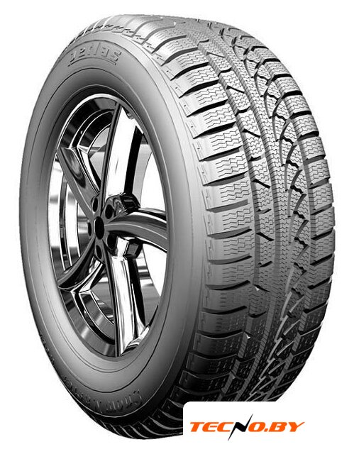 Зимние шины Petlas SnowMaster W651 235/40R18 95V - Изображение №1 — Интернет-Магазин TECNO.BY