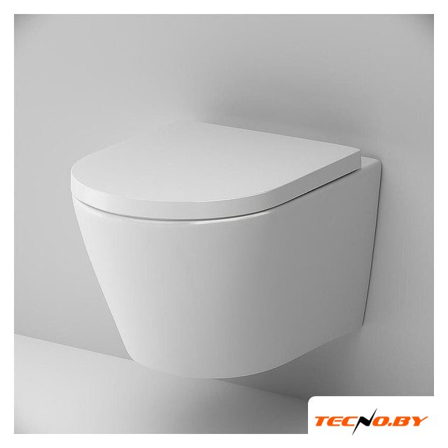 Унитаз подвесной AM.PM ErgoFit Sense FlashClean IS110101.741701 (с сиденьем) - Изображение №6 — Интернет-Магазин TECNO.BY