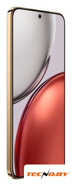Телефон HONOR X9d 8GB/256GB международная версия (терракотовый) - Изображение №5 — Интернет-Магазин TECNO.BY