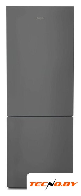 Холодильник Бирюса W6134 - Изображение №1 — Интернет-Магазин TECNO.BY