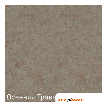 Кухонная мойка Zigmund & Shtain Platz 465 (молодое шампанское) - Изображение №7 — Интернет-Магазин TECNO.BY