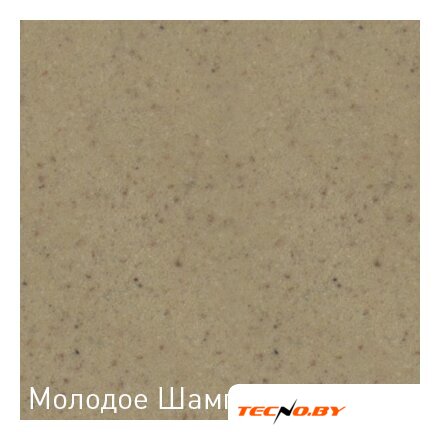 Кухонная мойка Zigmund & Shtain Platz 465 (молодое шампанское) - Изображение №8 — Интернет-Магазин TECNO.BY