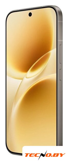 Телефон Vivo V70 V2538 8GB/256GB международная версия (серый) - Изображение №4 — Интернет-Магазин TECNO.BY