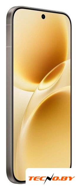 Телефон Vivo V70 V2538 8GB/256GB международная версия (серый) - Изображение №3 — Интернет-Магазин TECNO.BY