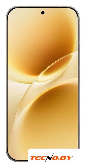 Телефон Vivo V70 V2538 8GB/256GB международная версия (серый) - Изображение №2 — Интернет-Магазин TECNO.BY