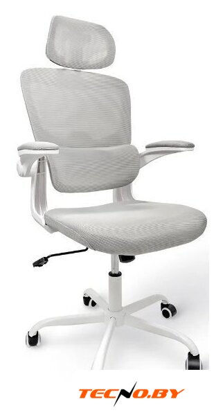 Офисное кресло byRoom Office Сhallenge HS-6305W-2-G (серый) - Изображение №1 — Интернет-Магазин TECNO.BY