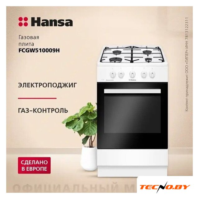 Кухонная плита Hansa FCGW510009H - Изображение №2 — Интернет-Магазин TECNO.BY