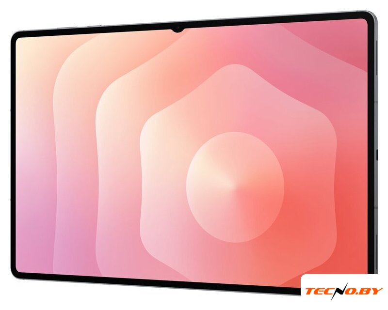 Планшет Samsung Galaxy Tab S11 Ultra Wi-Fi SM-X930 12GB/512GB (серый) - Изображение №5 — Интернет-Магазин TECNO.BY