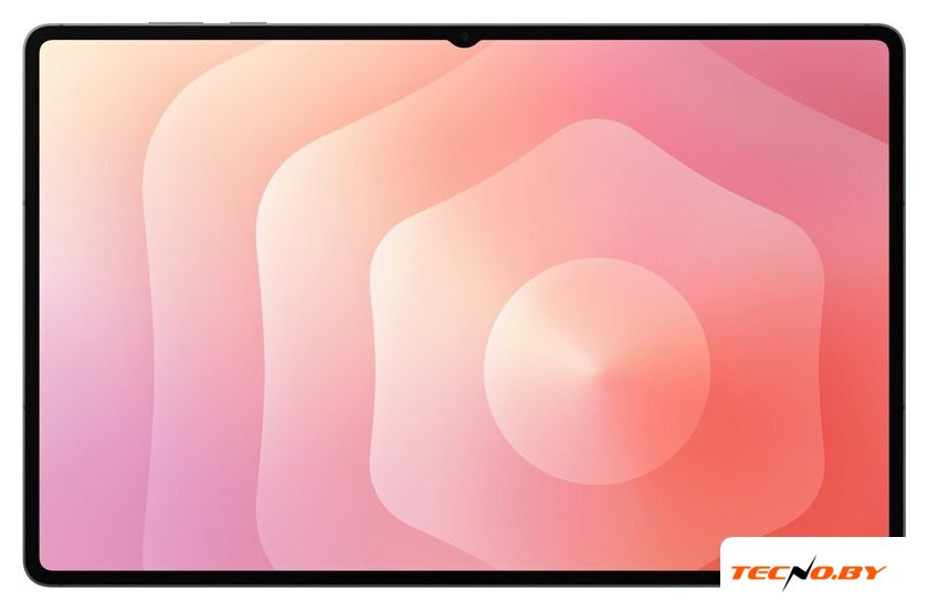 Планшет Samsung Galaxy Tab S11 Ultra Wi-Fi SM-X930 12GB/512GB (серый) - Изображение №2 — Интернет-Магазин TECNO.BY
